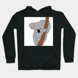 Koala Hoodie